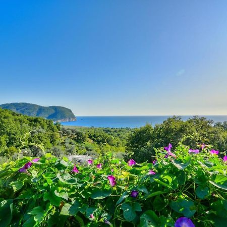 Pataki Studios Petrovac na moru Exterior foto