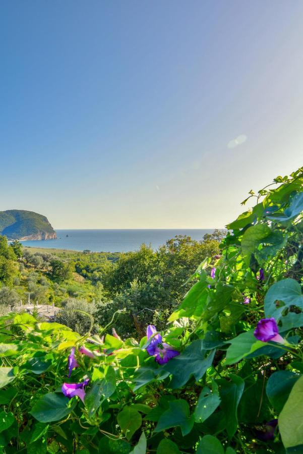 Pataki Studios Petrovac na moru Exterior foto