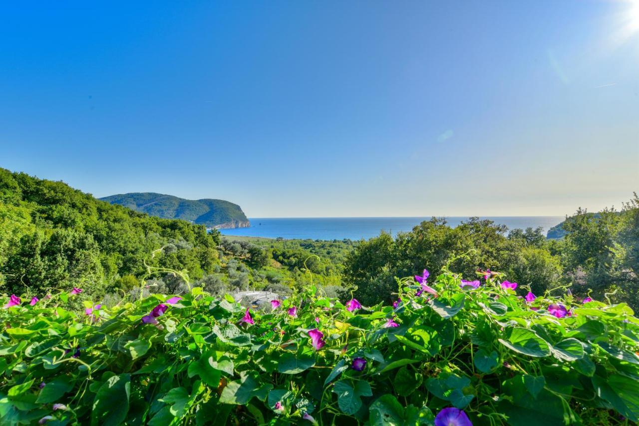 Pataki Studios Petrovac na moru Exterior foto