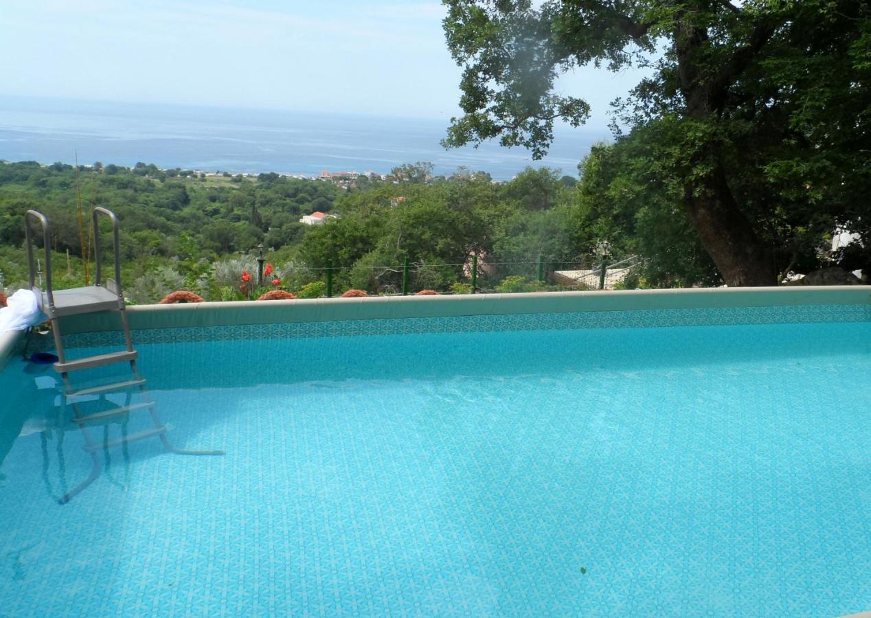 Pataki Studios Petrovac na moru Exterior foto